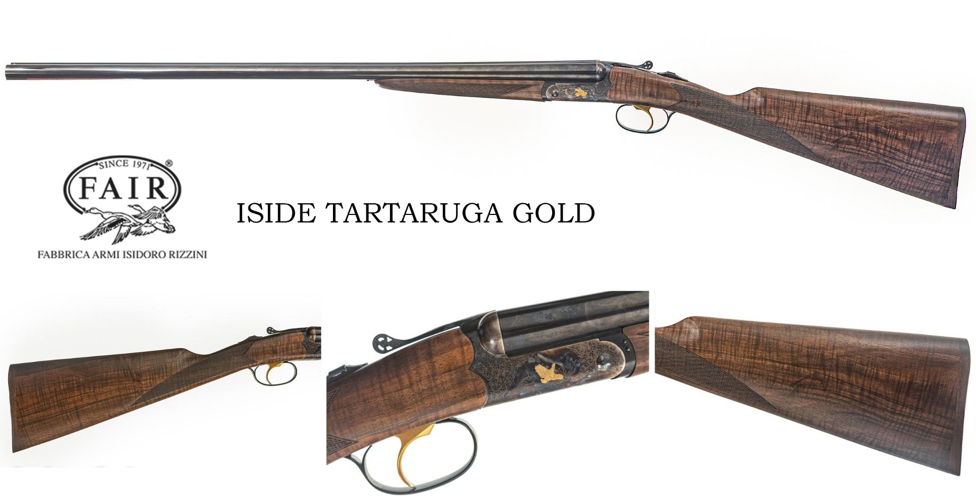 F-A-I-R-Iside-Tartaruga-Gold-Field-28g-28inch-SN-321261_101475707_E.jpg